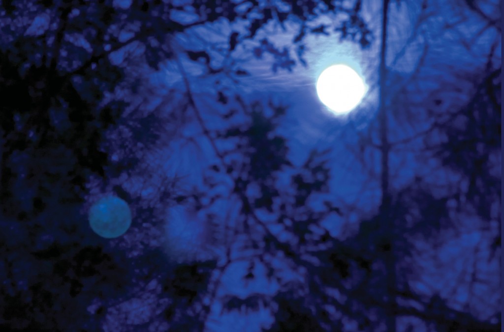 Winter Moonlight